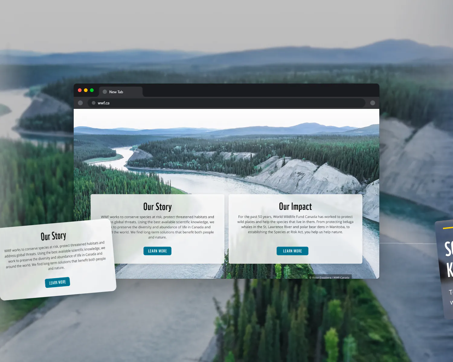 Case study design screen 5 by WANDR