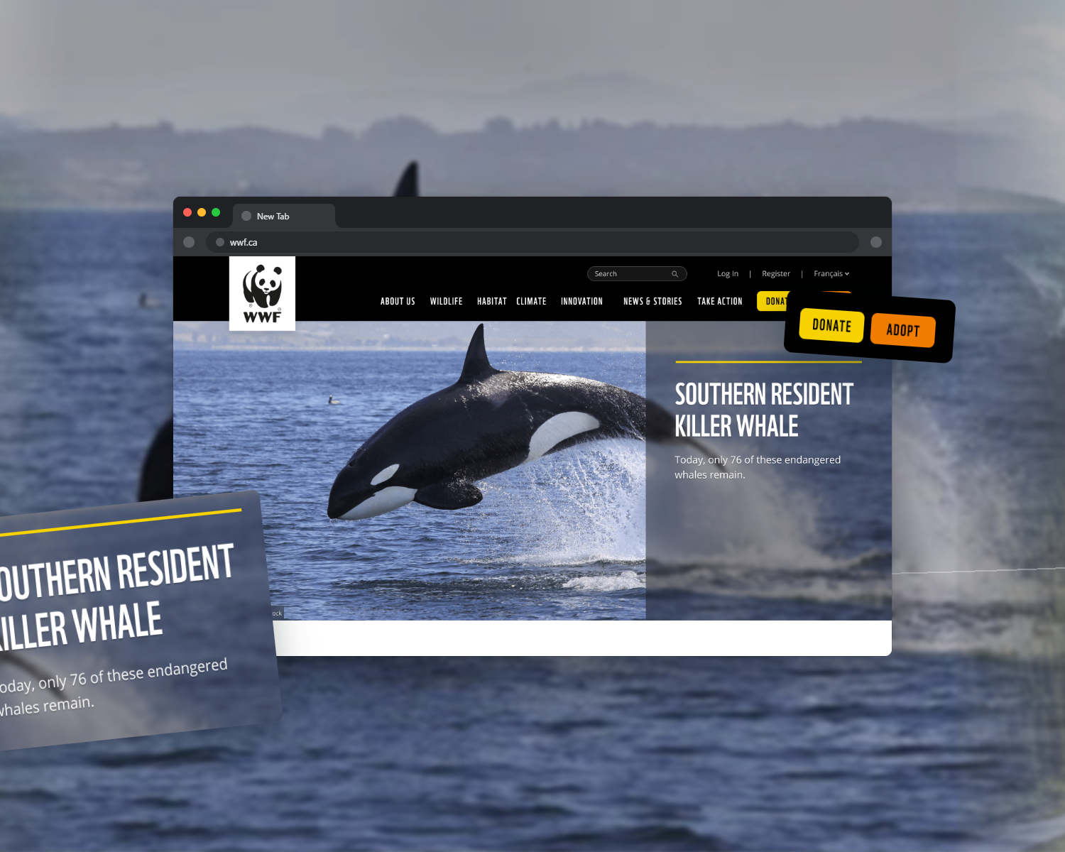 MPL redesign surface