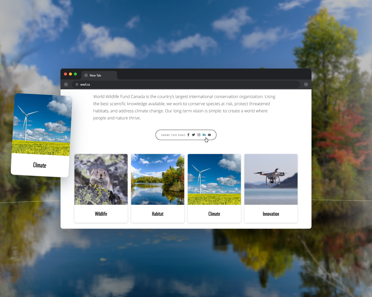 MPL redesign surface