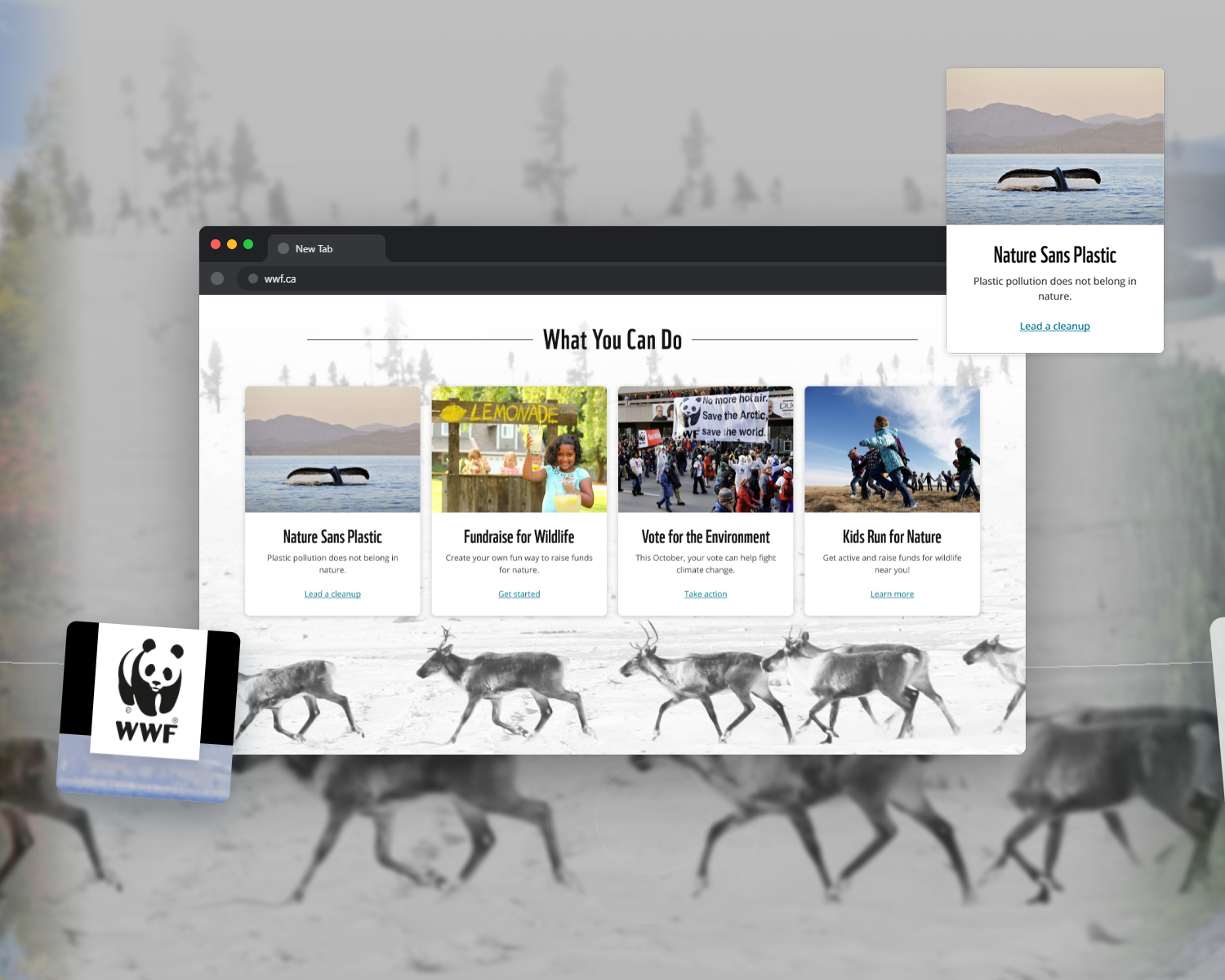 MPL redesign surface