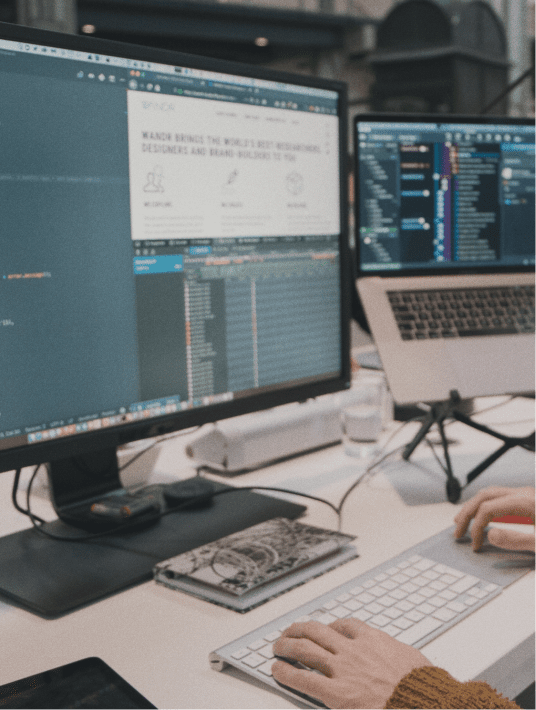 Web Design vs. Web Development