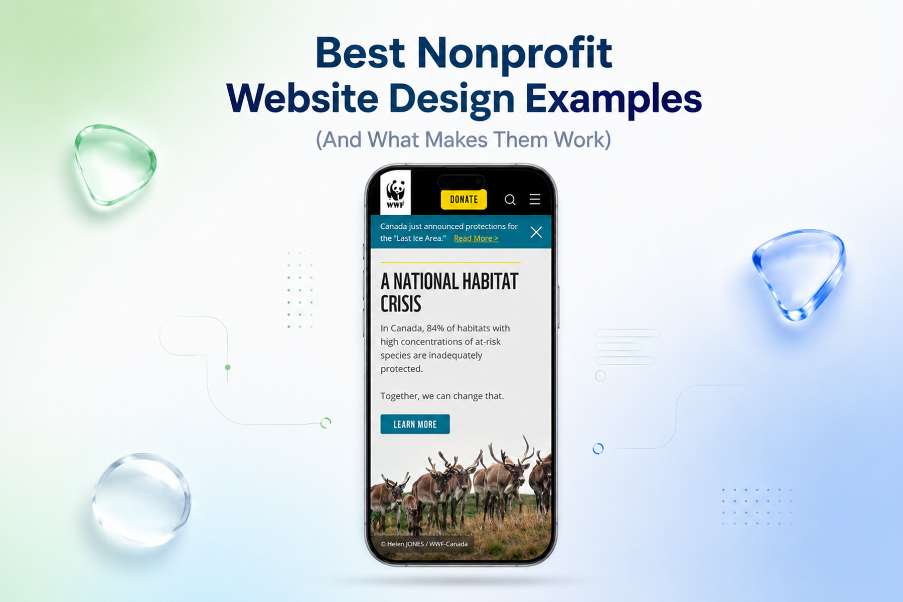 Best Nonprofit Website Design Examples (And What Makes Them Work)
