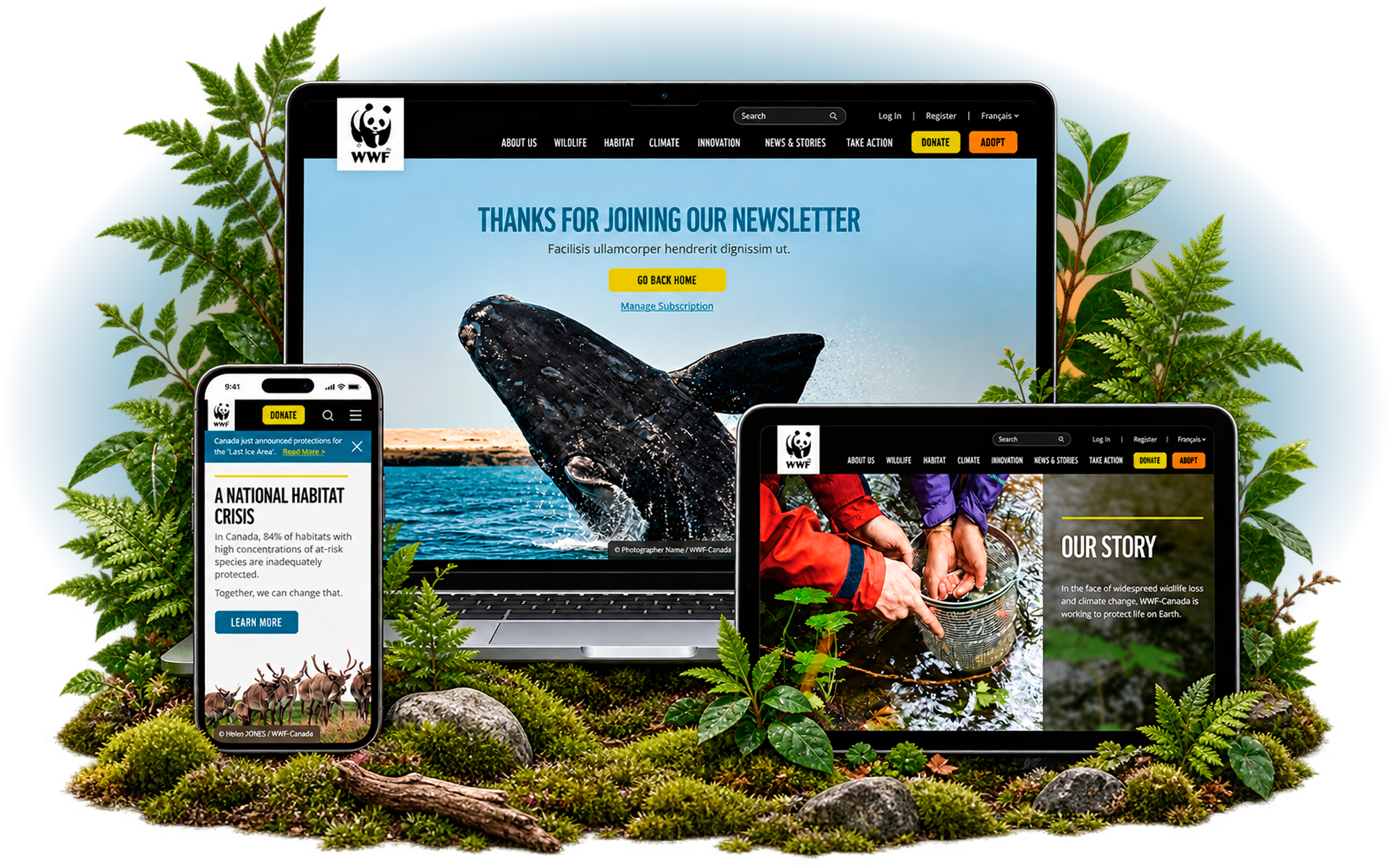 WWF-Canada donation experience redesigned by Wandr