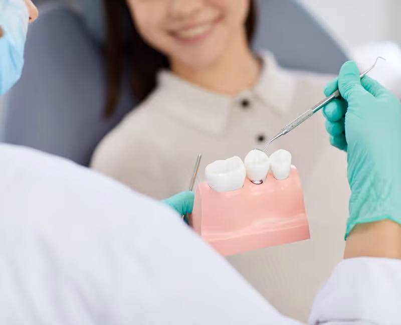Dentist holding a dental model of teeth and explaining to a smiling patient.