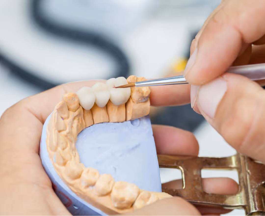 Hand holding dental model applying a brush to a set of artificial teeth.