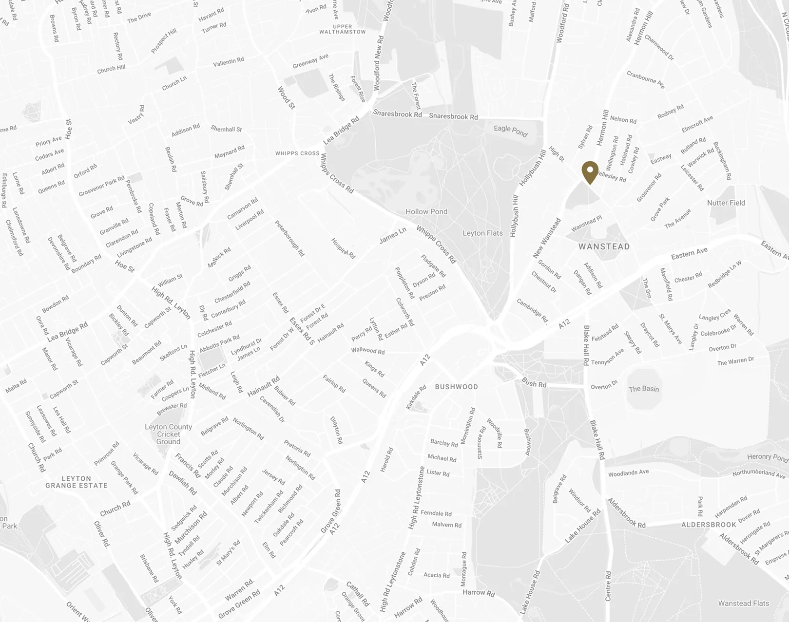 Map showing Wanstead area with streets, parks, and a location pin near Hermon Hill and Wellesley Road.