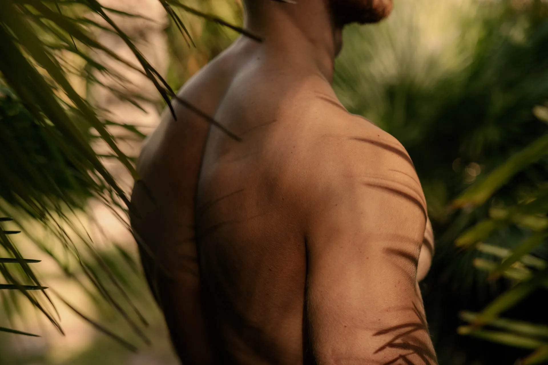 Close-up of a shirtless man’s back with shadows of leaves cast on his skin, surrounded by greenery.