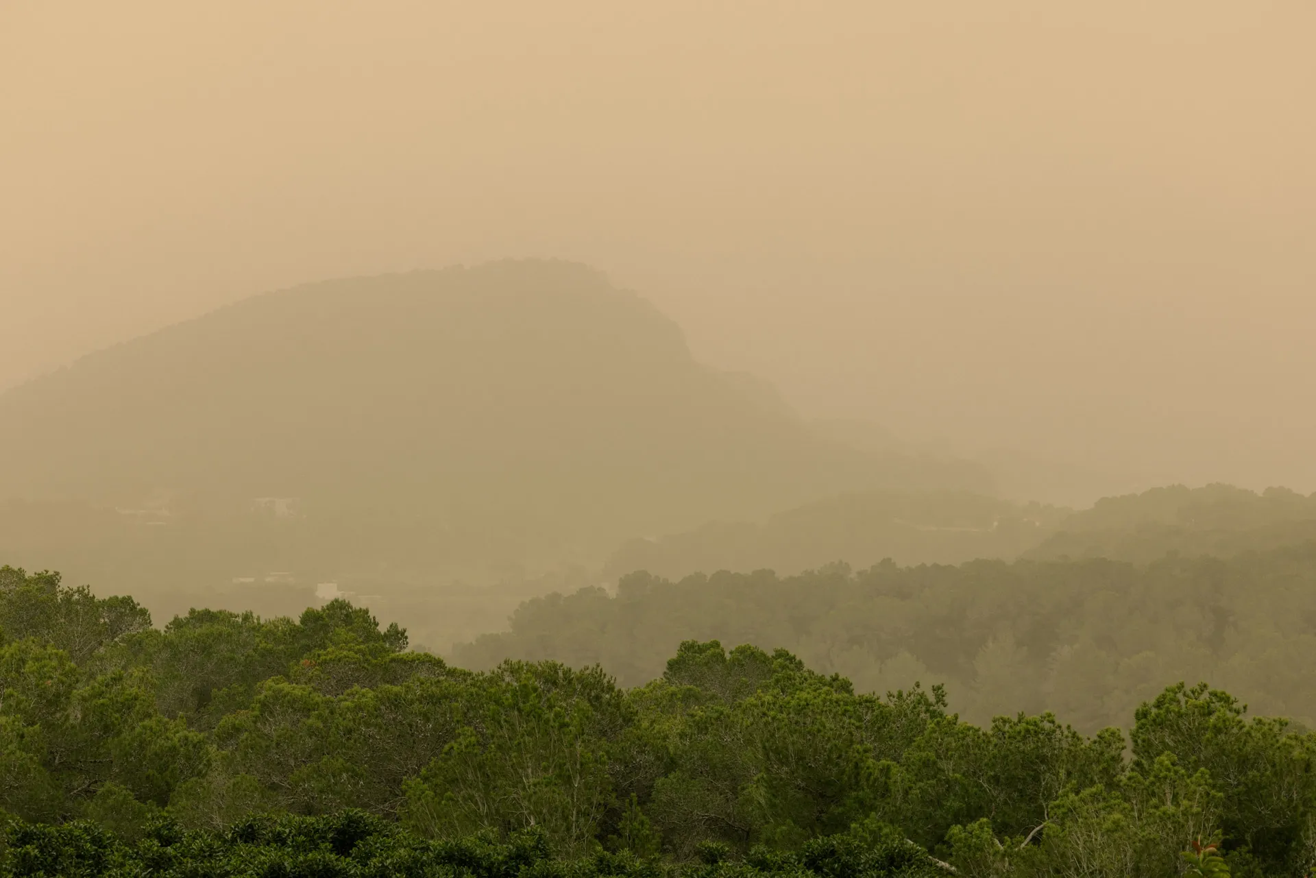 Hazy landscape with dense green trees in the foreground and mountains obscured by fog in the background.