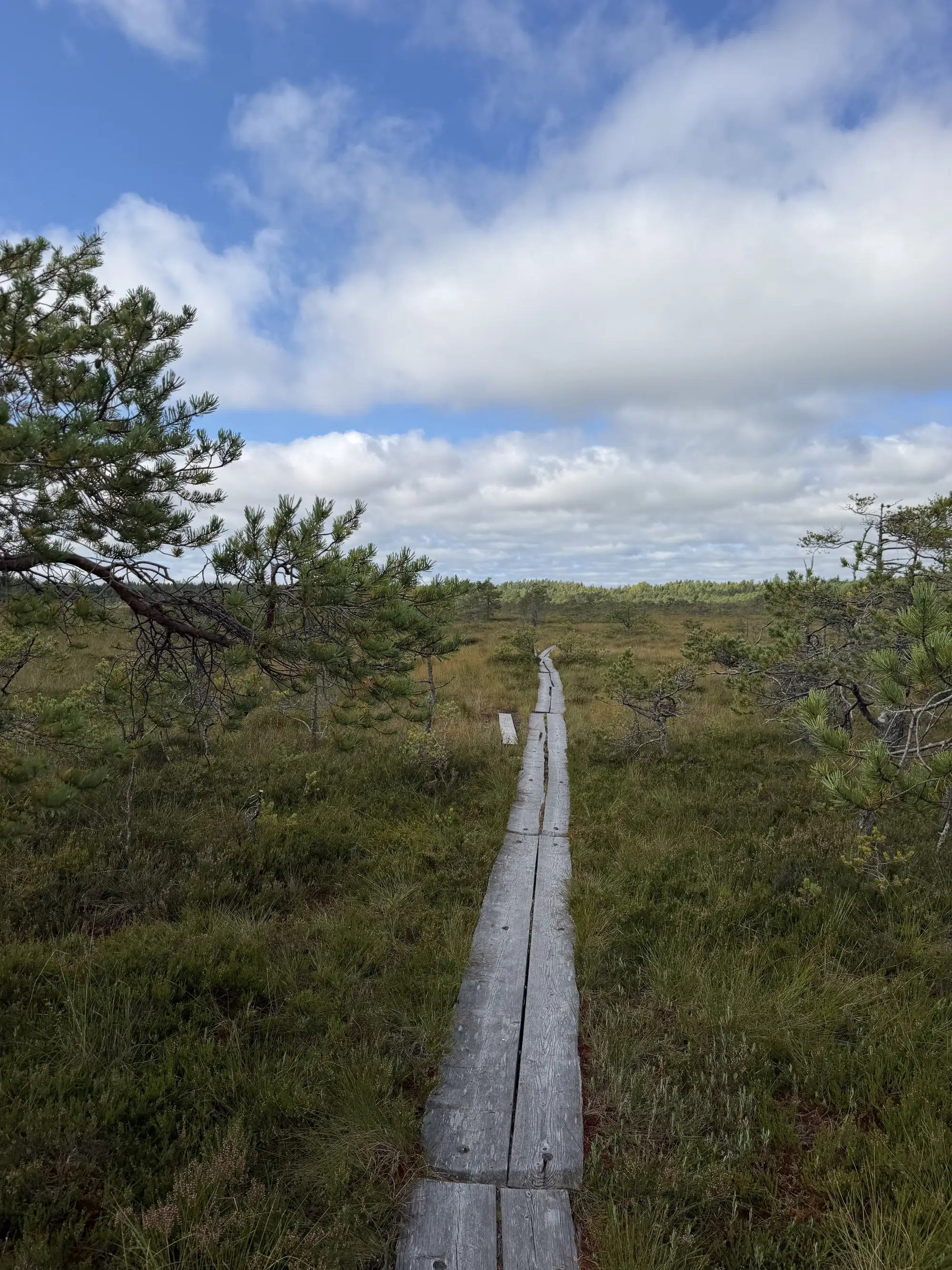 Wandern durch eine Moorlandschaft, Ruhe & Stille geniessen oder mit dem Fahrrad durch die Nationalparks fahren aber auch mit dem Kajak die Natur erleben.