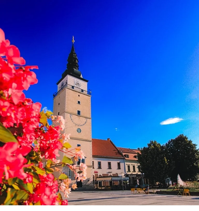 Tower with a clock and a black spire under a clear blue sky, red flowers in the foreground, and a plaza with benches and trees.