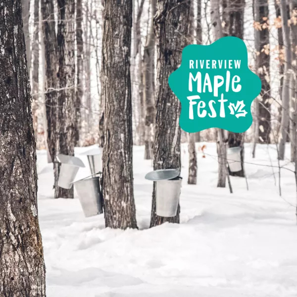 Riverview Maple Fest winter festival in New Brunswick with maple syrup buckets in snowy forest
