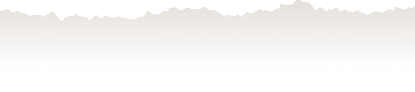 White torn paper edge with subtle shadow on a white background.