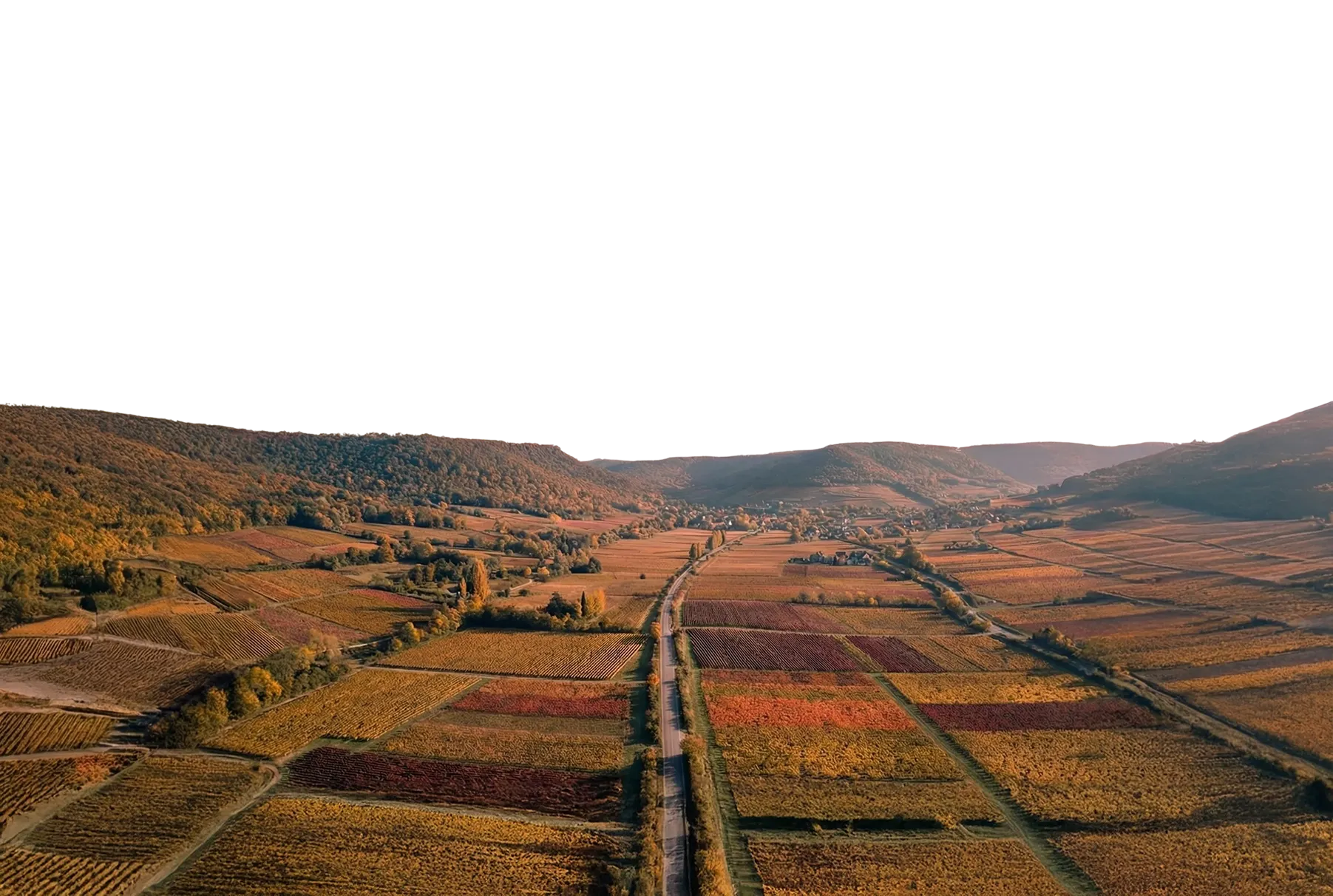 Aerial view of a patchwork of autumn-colored farmland with a road running through the center, surrounded by forested hills.