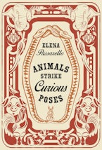 Animals Strike Curious Poses