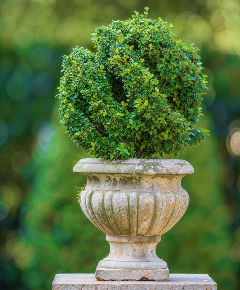 Portfolio Image - Landscaping X Webflow Template