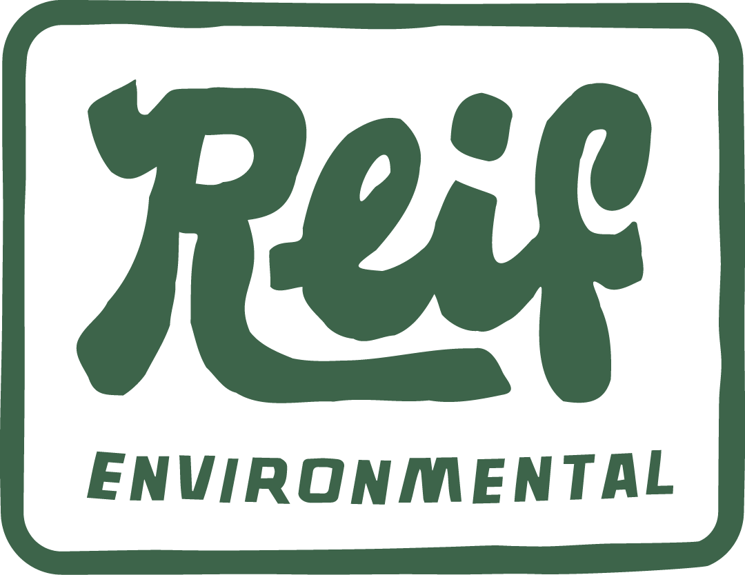Logo with the word 'Reif' in a large script font and 'ENVIRONMENTAL' in uppercase block letters below, all inside a rounded rectangular border.