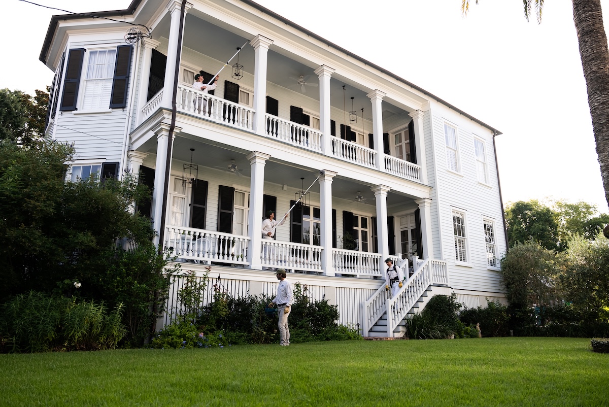 Why you should have professional pest control for your home.