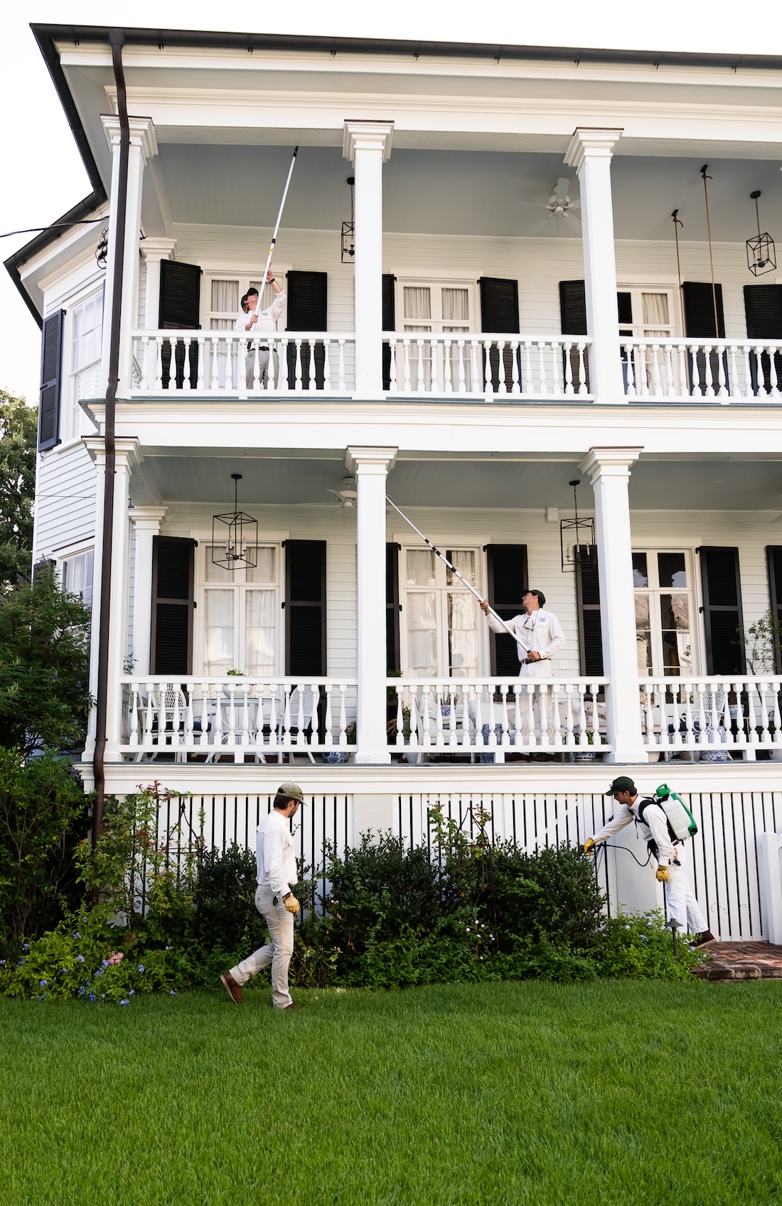 Why you should have professional pest control for your home.