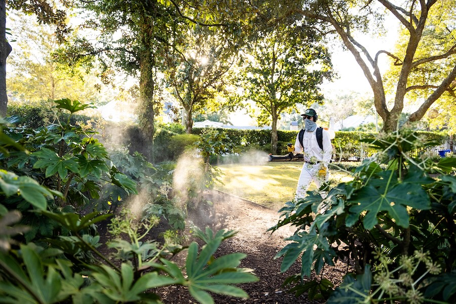 Why Seasonal Mosquito Control Is Essential in Charleston, SC