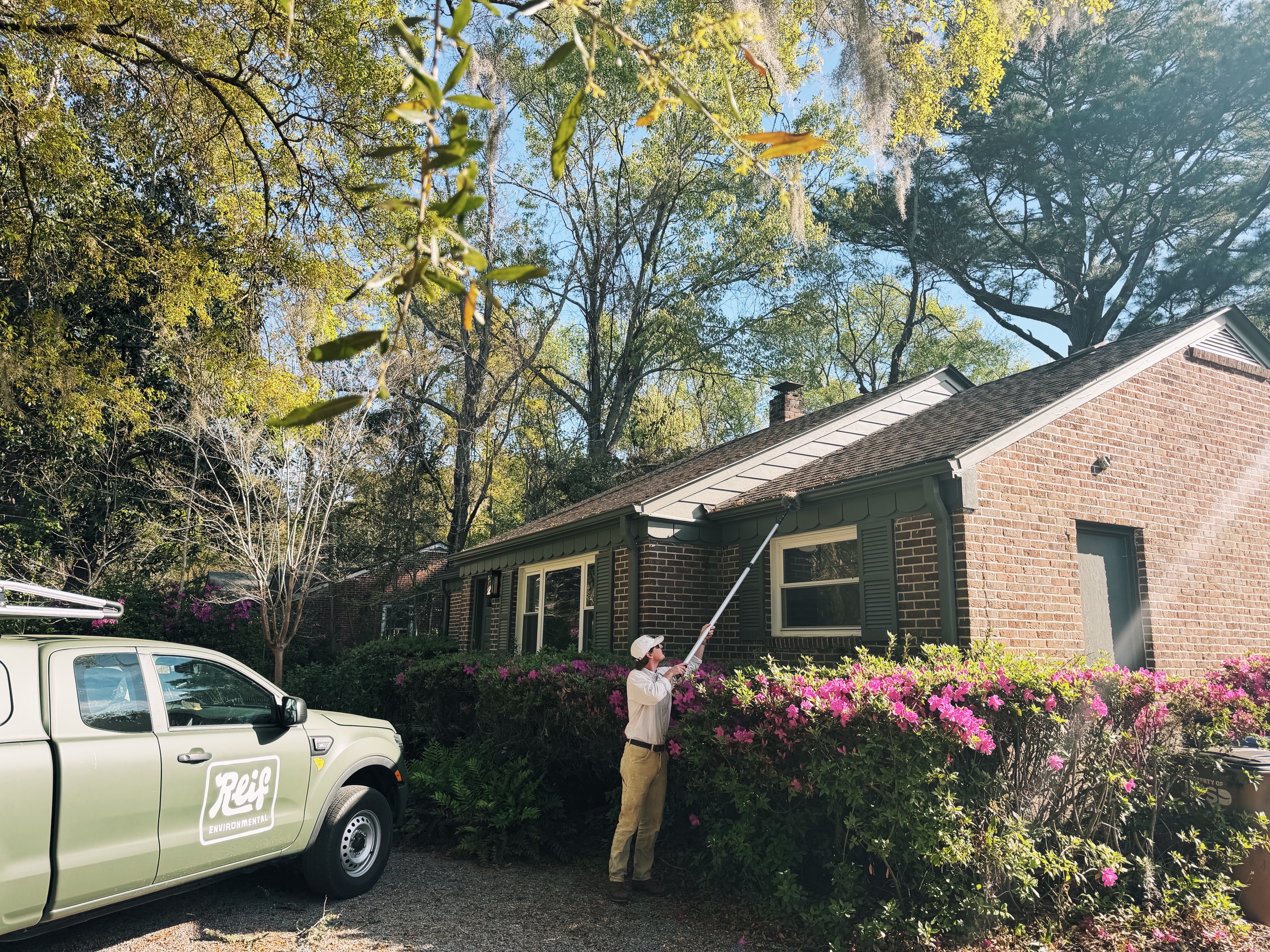 Why Sweeping Spider Webs and Wasp Nests Is an Important Part of Pest Control