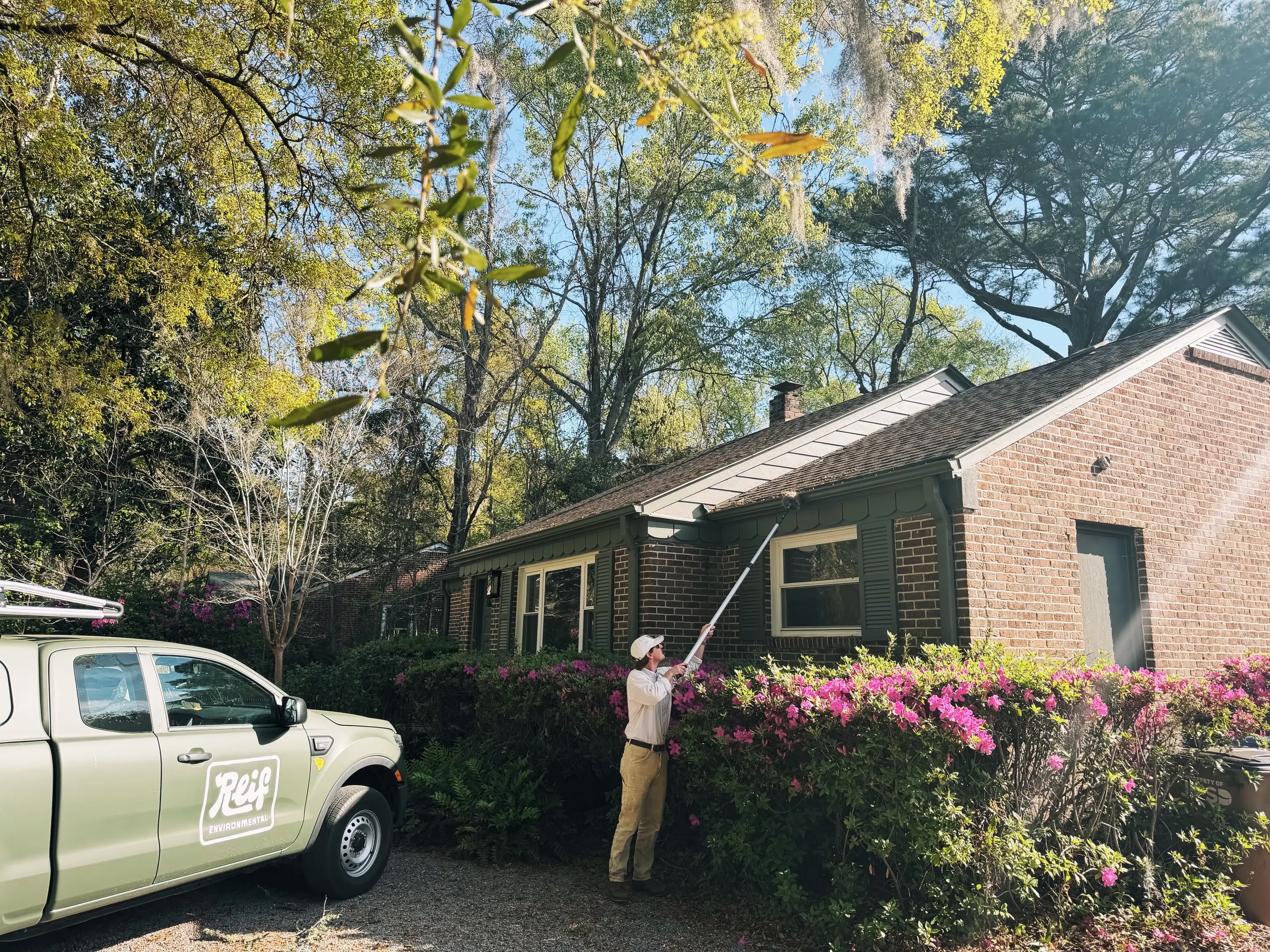 Why Sweeping Spider Webs and Wasp Nests Is an Important Part of Pest Control