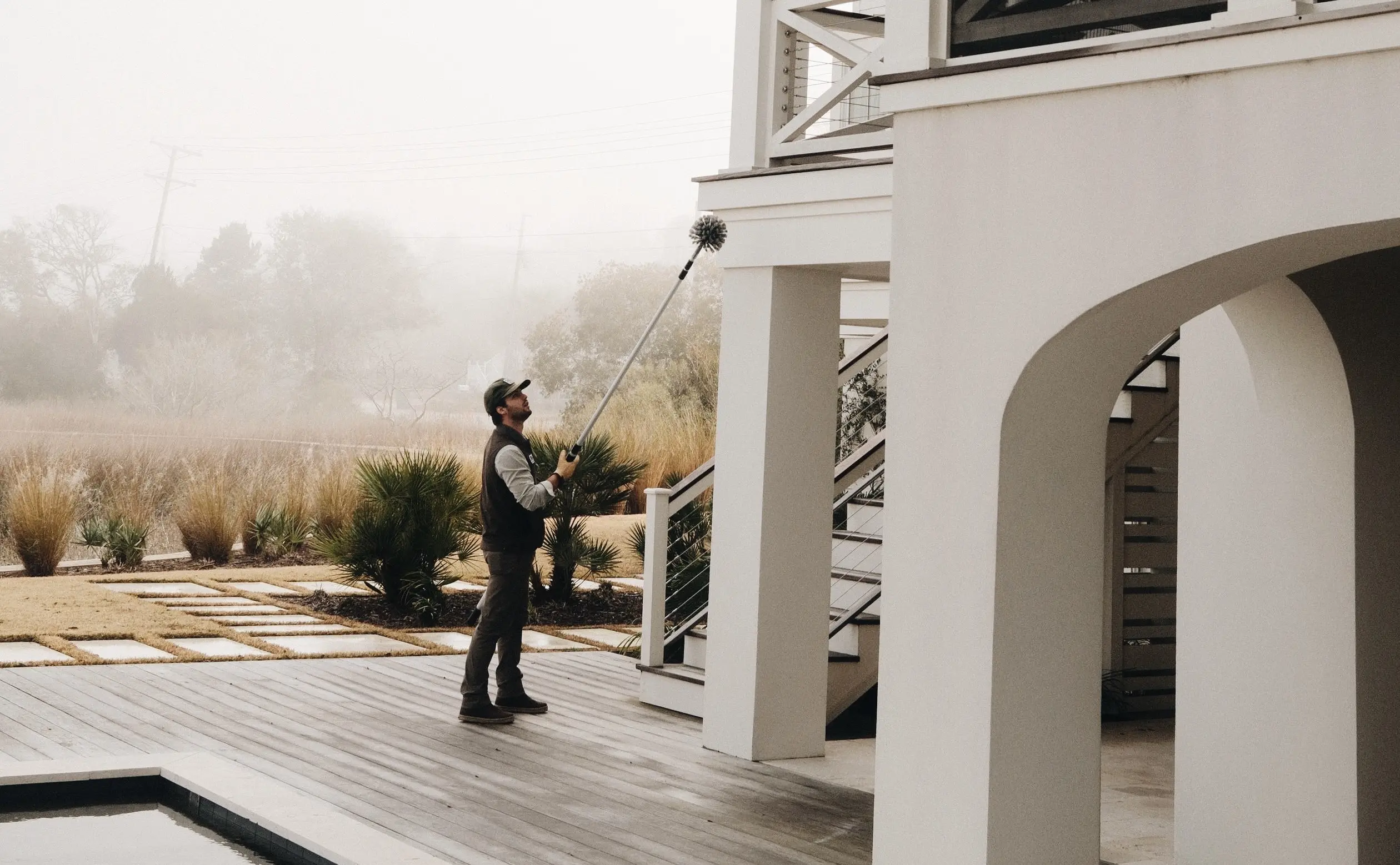 Common Pests in Charleston, SC (And How to Keep Them Out of Your Home)