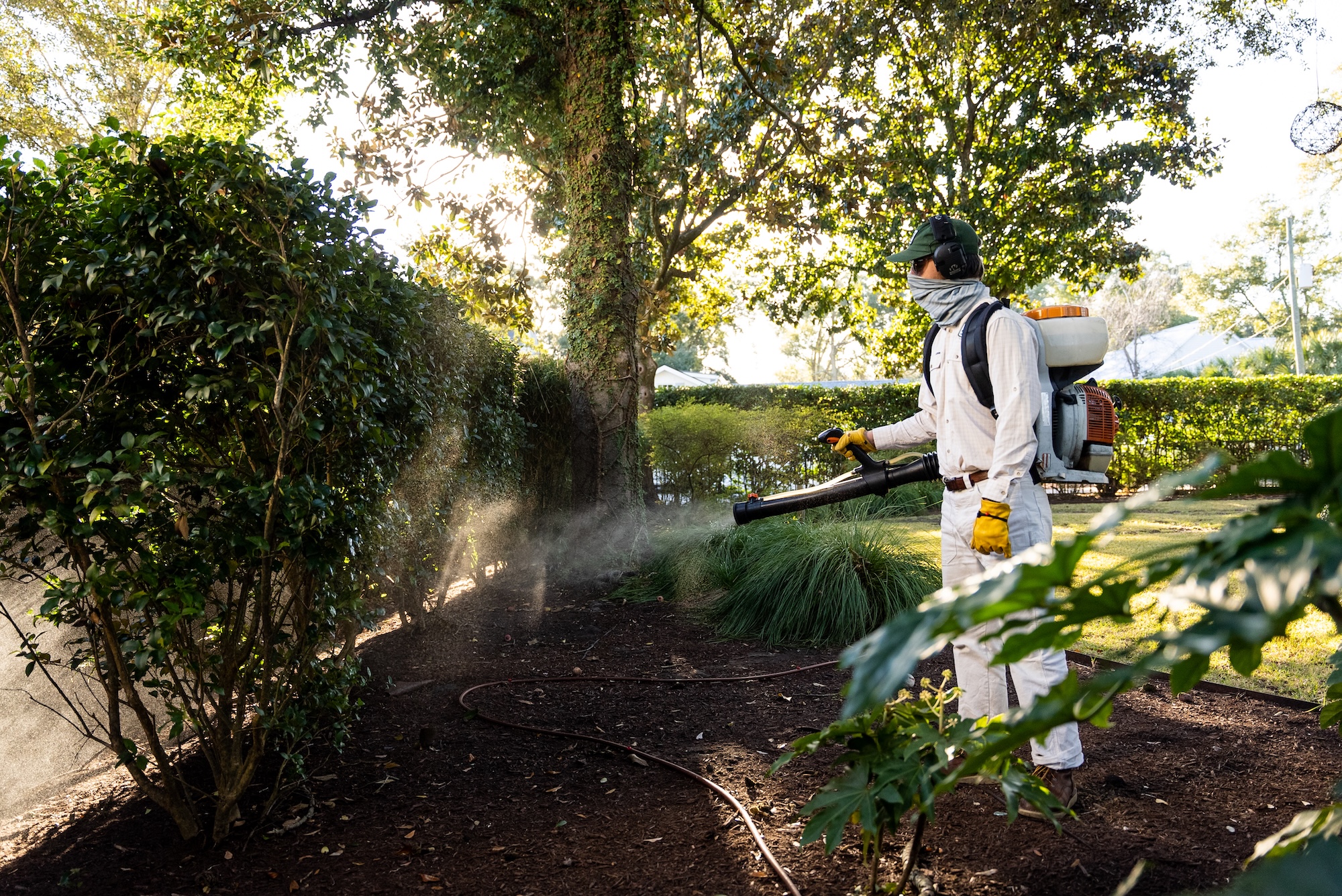 Reif Environmental technician applying mosquito control treatment with a backpack fogger in a landscaped Charleston residential yard