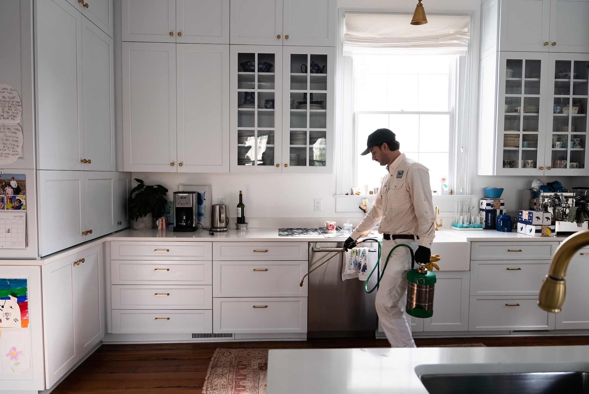 How to Keep Ants Out of Your Kitchen This Summer (A Charleston Homeowner's Guide)