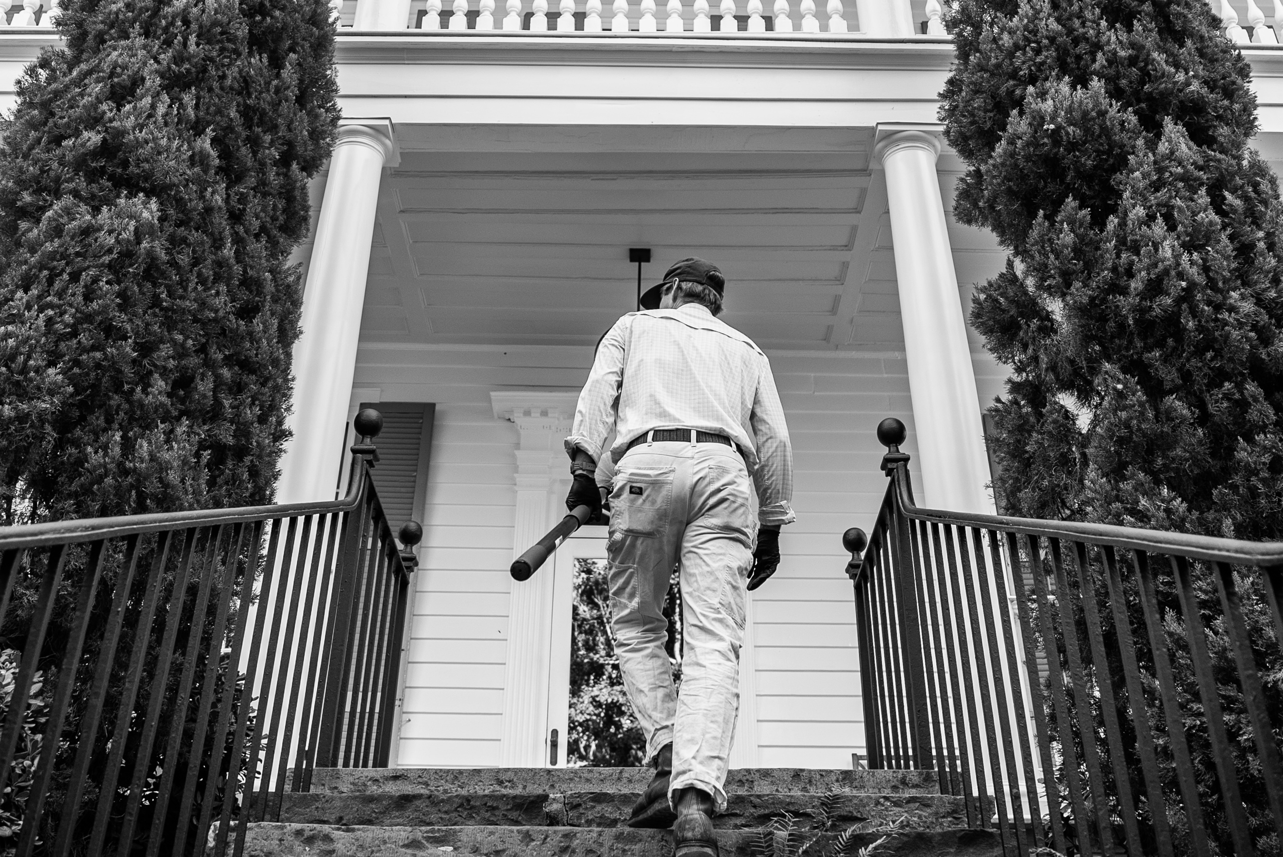 How to Choose a Pest Control Company in Charleston, SC