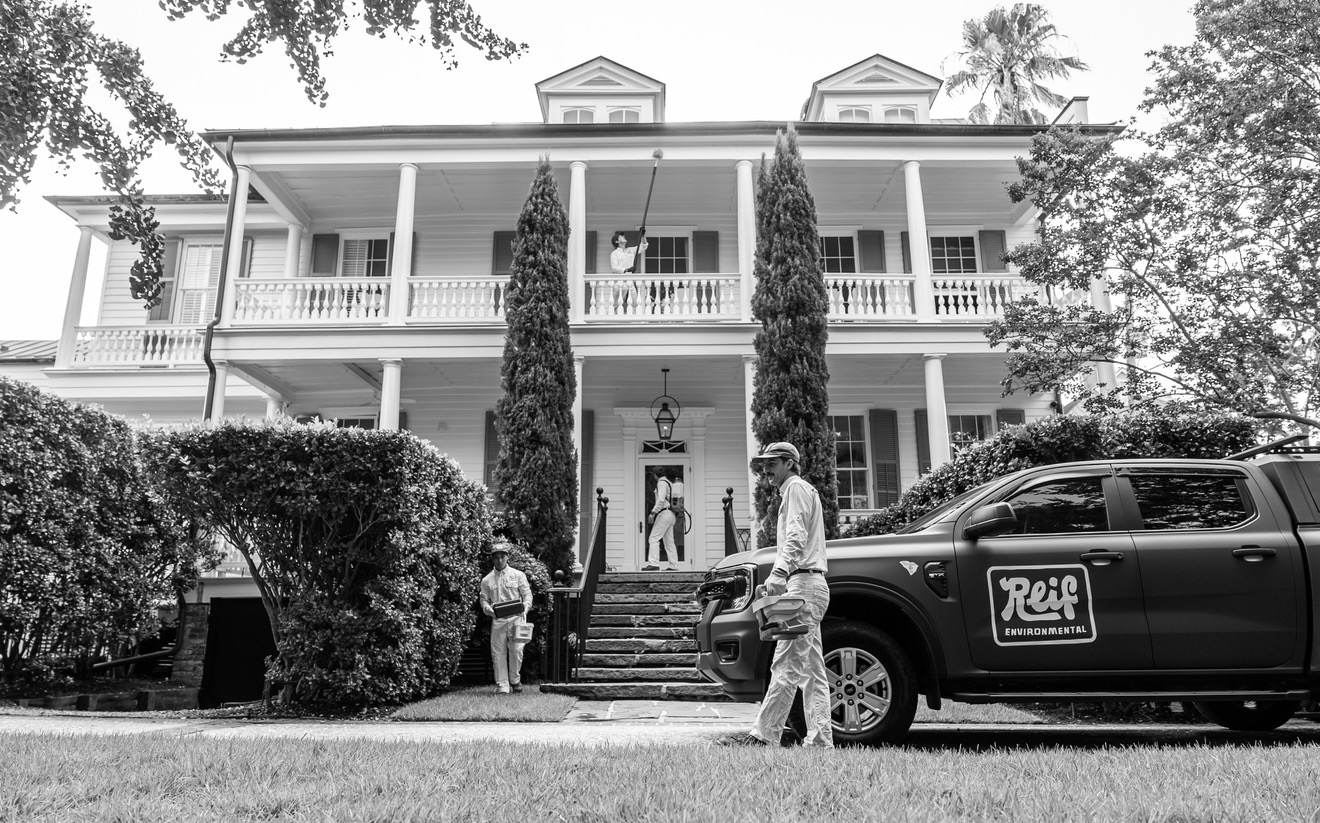 Pest Control Cost in Charleston, SC: What to Expect