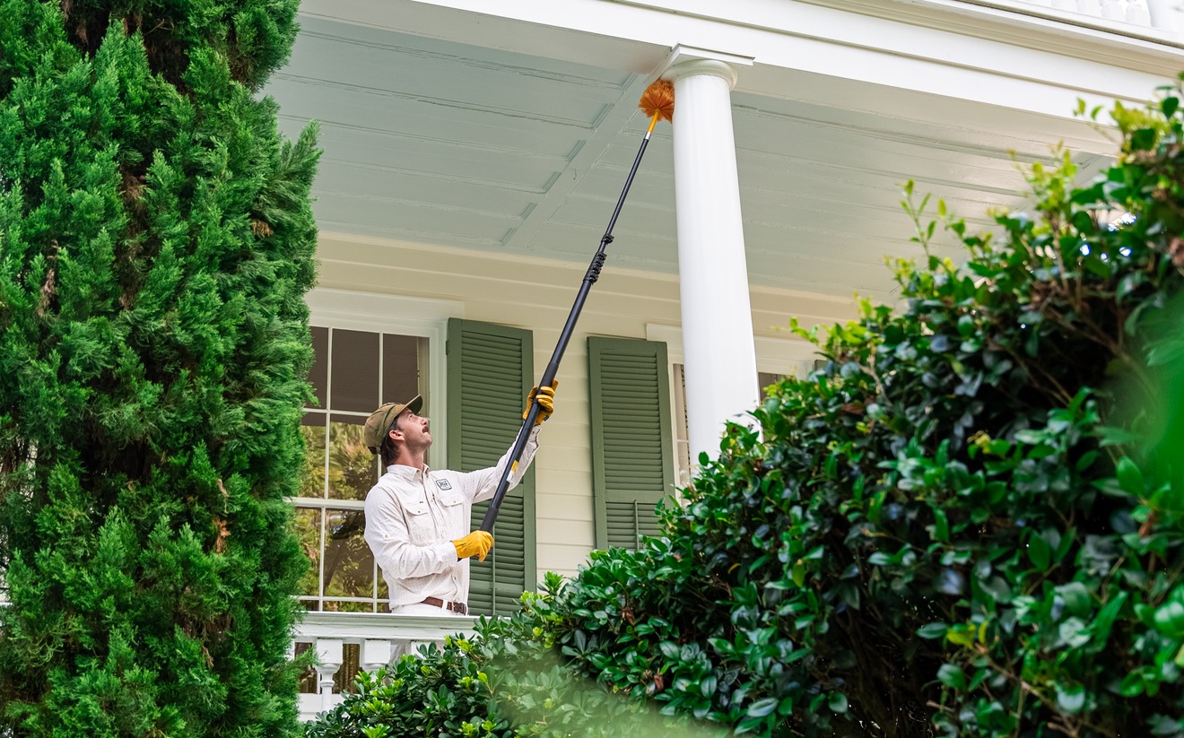 Why Yellow Jackets Get Aggressive in Charleston Every August (And What to Do About It)