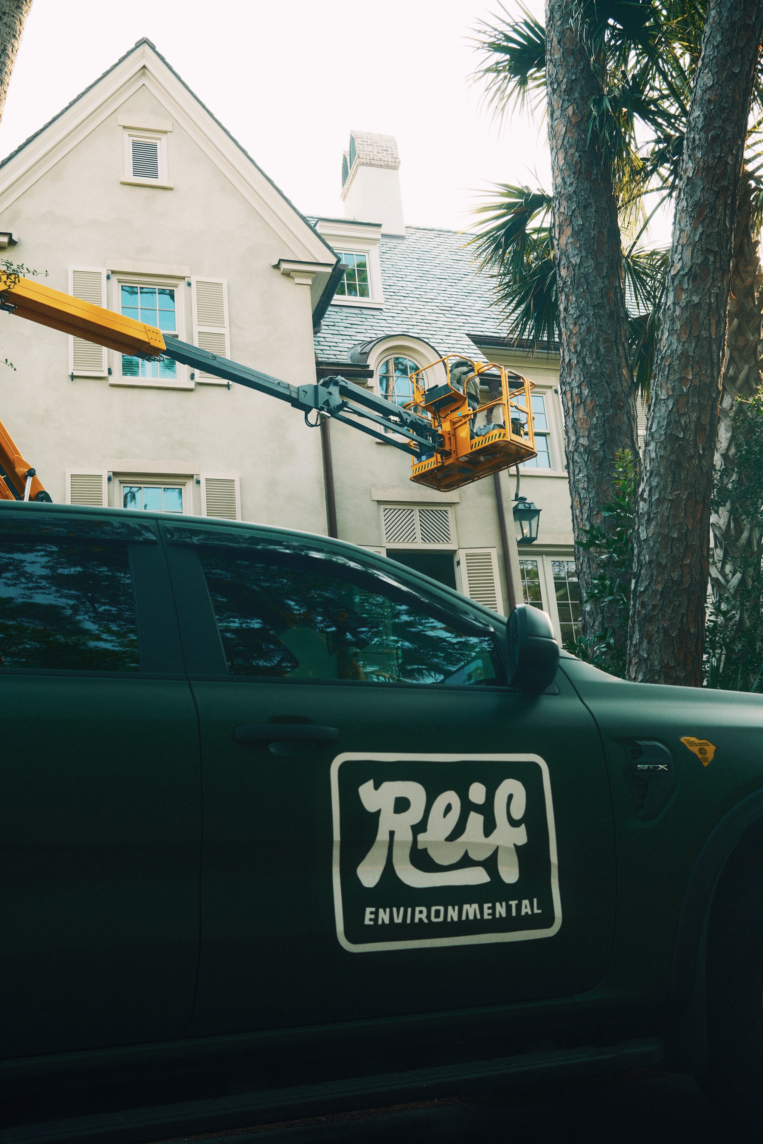 Found a Honey Bee Hive on Your Property? Here's What to Do in Charleston