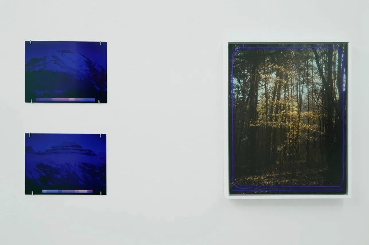 Three dark blue ultramarine photographs of mountains and trees and forest depicting scenes of melancholy and sublimation, the interface of an abyss, artwork by Mark Dorf curated by Frank WANG Yefeng, Below Grand Gallery.
