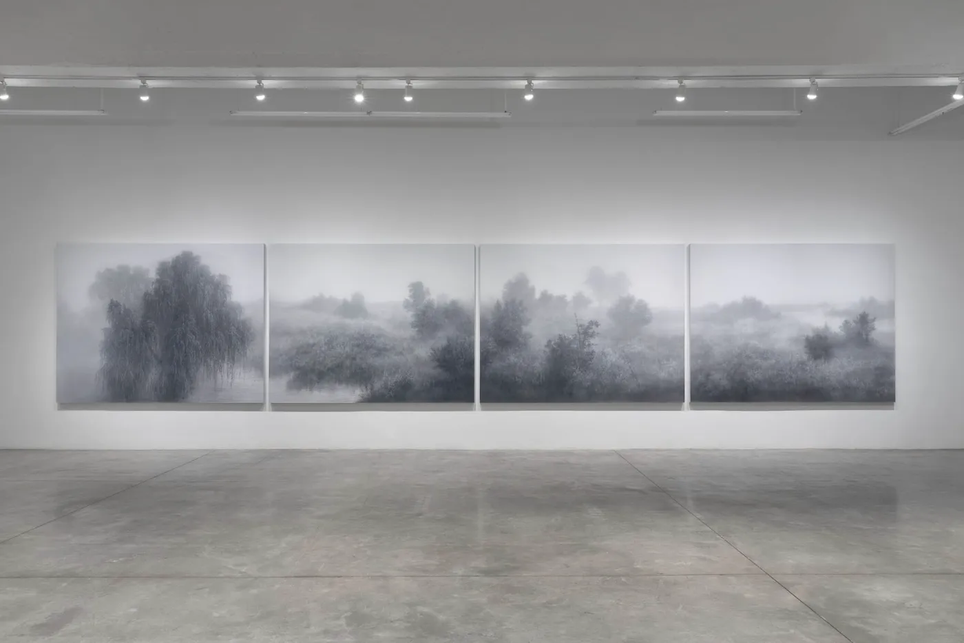 Misty grayscale natural landscape paintings installation view in white cube gallery wall, Tina Kim, there is no place, Kibong Rhee exhibition, mistygraphy cut sections 2-5.