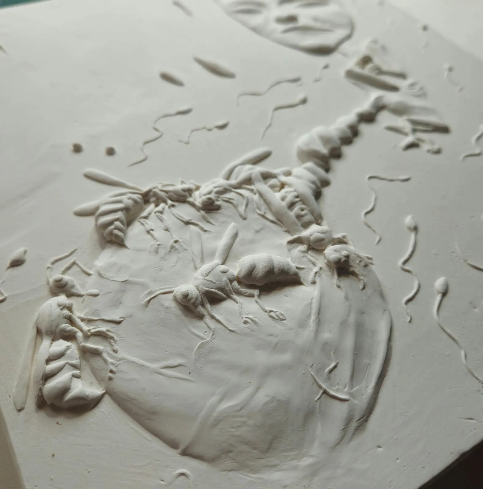 White monochrome relief sculpture in jesomite by british artist tim noble of flies feeding off of fruit, palo gallery solo exhibition happy land.