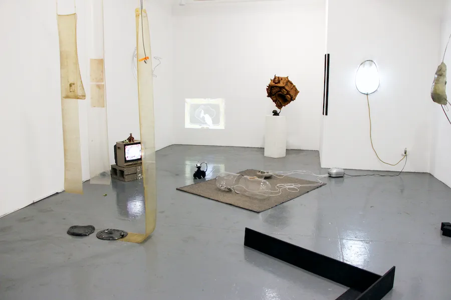 Seoyoung Kim, Soeun Bae, and Soo Park, Korean curatorial initiative, Installation view of 'Site 002. △', Site, Brooklyn Fireproof, Brooklyn, New York, Projectspace WIP