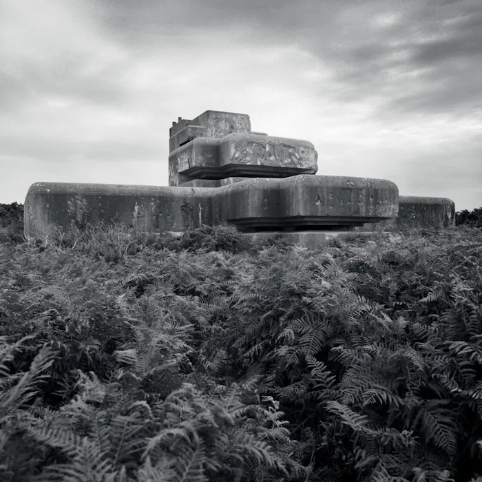 Jane and Louise Wilson, Sea Eagle 2006, 303 gallery photographic print, Brooklyn Museum in the now exhibition review by Waltpaper