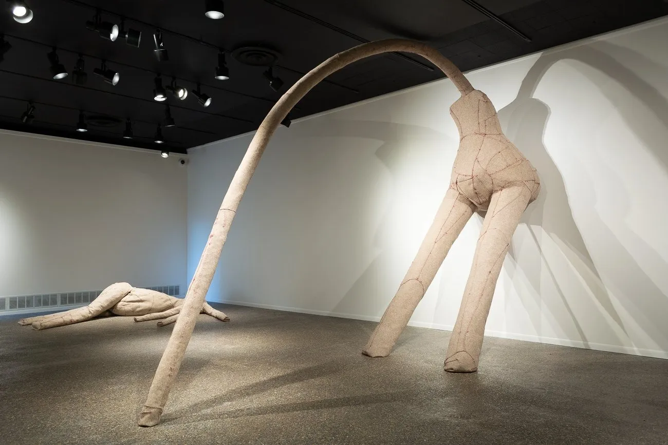 Nicole Havekost, material artist textile motherhood bodies, Dreamsong Minneapolis, Sanaphay Rattanavong, RISD interview profile artist press, supine, pause