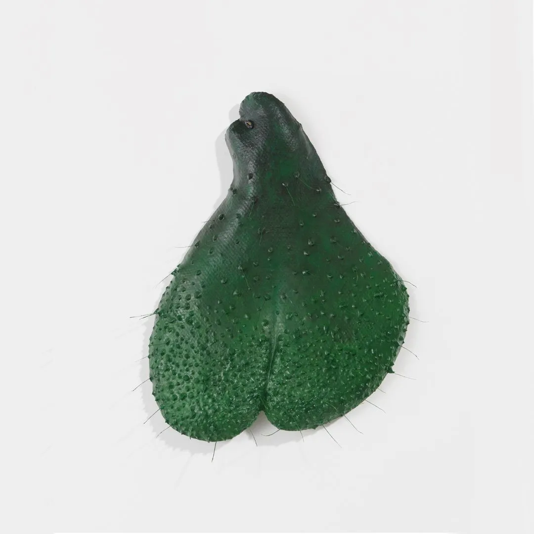 David Anaya Maya green sculpture of avocado skin that looks like upside down cactus and testicles, epoxy resin, in High Noon Gallery exhibition Providentia.
