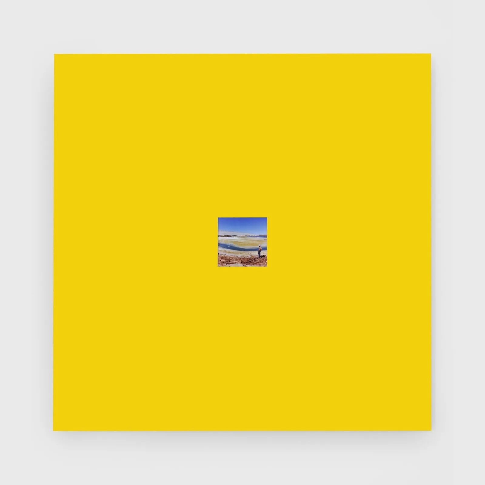 Michael Wang, yellow painting, Bienvenu Steinberg & C. yellow earth uranium exhibition solo