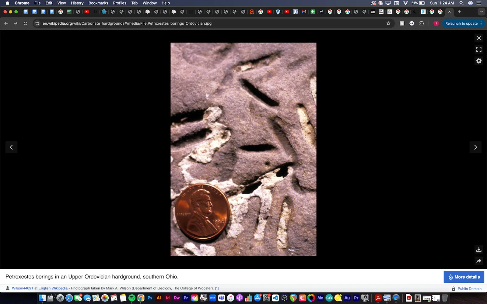 Screenshot of an Abraham Lincoln coin on carbonate hardground in Ohio, via Wikipedia search engine computer display.