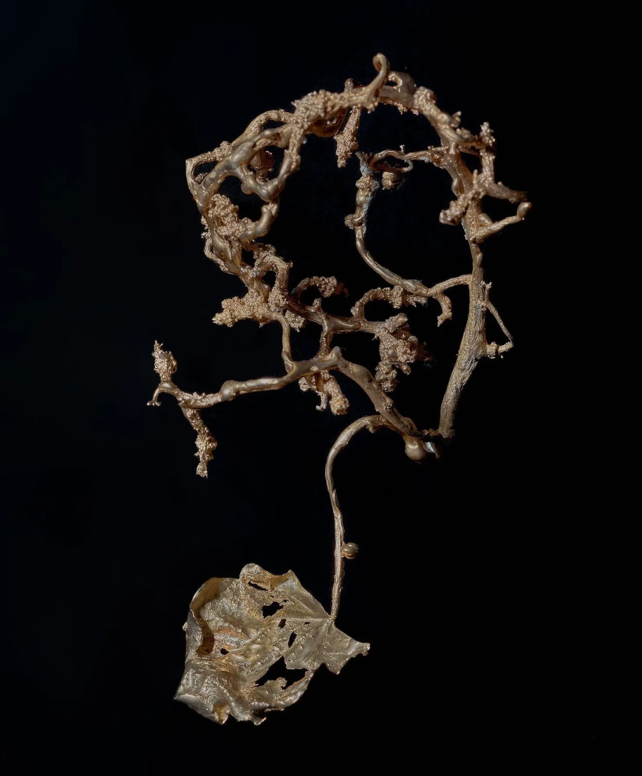 Gold and bronze plant inspired jewelry with leaves and vine, work by Korean immigrant Aeri Go.