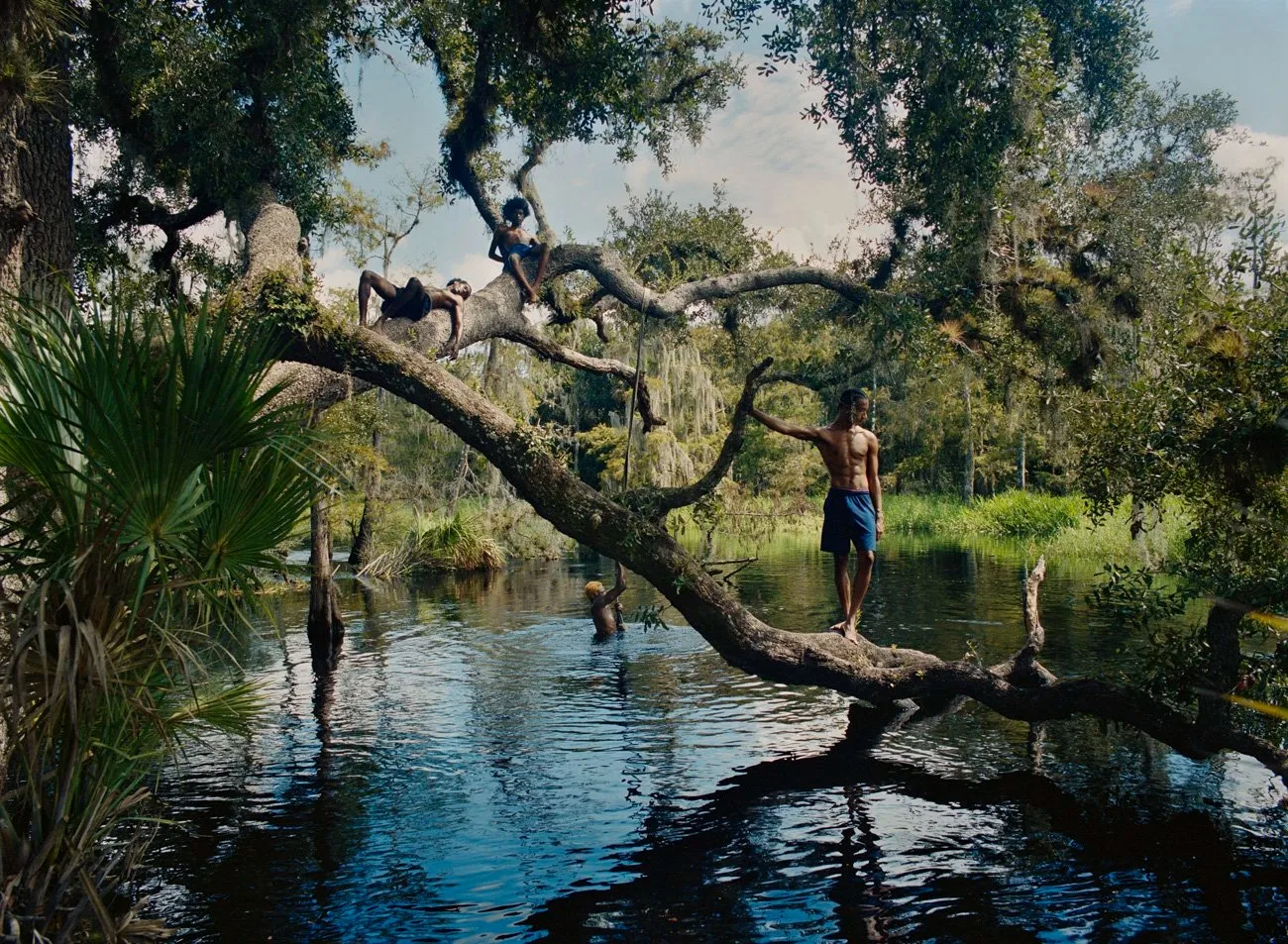 Photograph of florida boys climbing a big tree branch draping across a creek, they are shirtless in the summer heat surrounded by greenery, creek photography by josh aronson, impulse magazine interview.