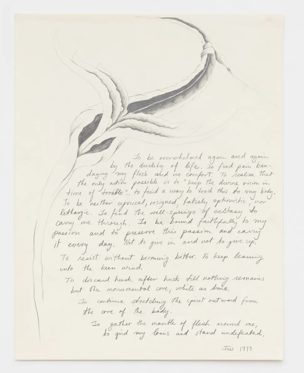 Shot of a drawing of a plant-like curved figure done in graphite curls around the left of the page, while the right of the page features hand-written text in cursive.