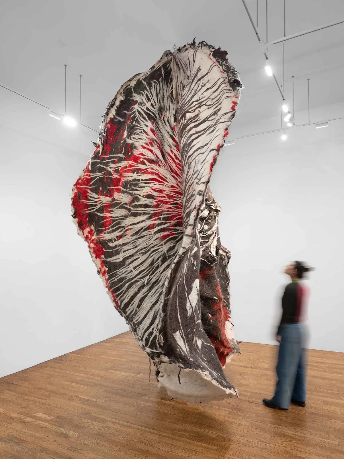 A black, white, and red ear and flower shaped fiber art hanging off wire in white cube gallery room with blurry figure for scale, sagarika sundaram source, hand-dyed wool, nature morte gallery.