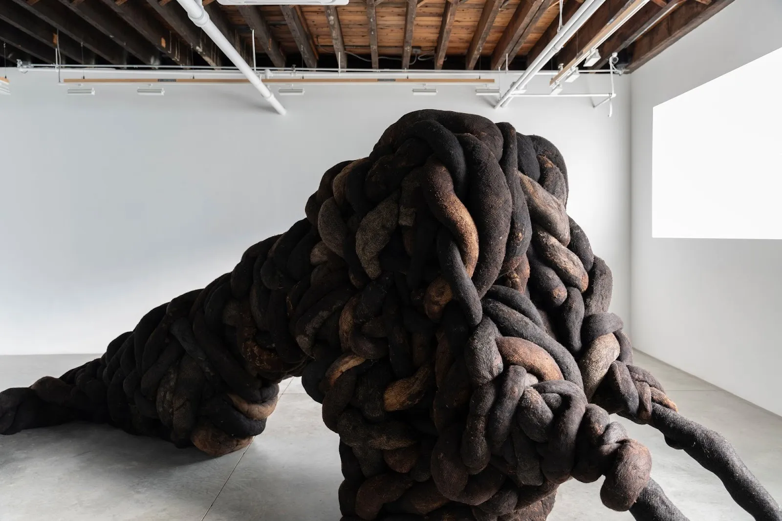 Large black tendrils of horsehair and wool climbing up ceilings in a gallery mounted on hospital trolley legs, nicola turner exhibition fabric of undoing at carvalho park, new york.