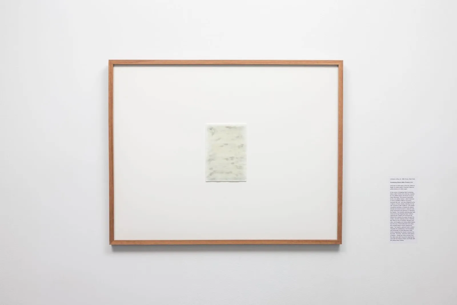 Small drawing installed on museum wall next to curatorial text, le'andra leseur, sustaining bloom after porteri 1 at monument eternal exhibition at the pittsburgh cultural trust.