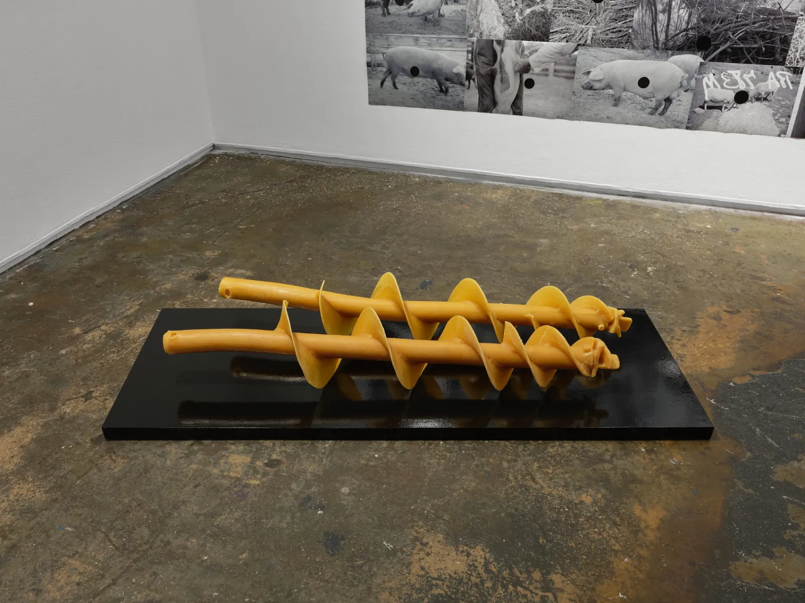 Installation shot above-down of a sculpture resting on a long black platform low to the ground. The sculpture is made from yellow beeswax and has two parallel twisting, corkscrew-like forms.