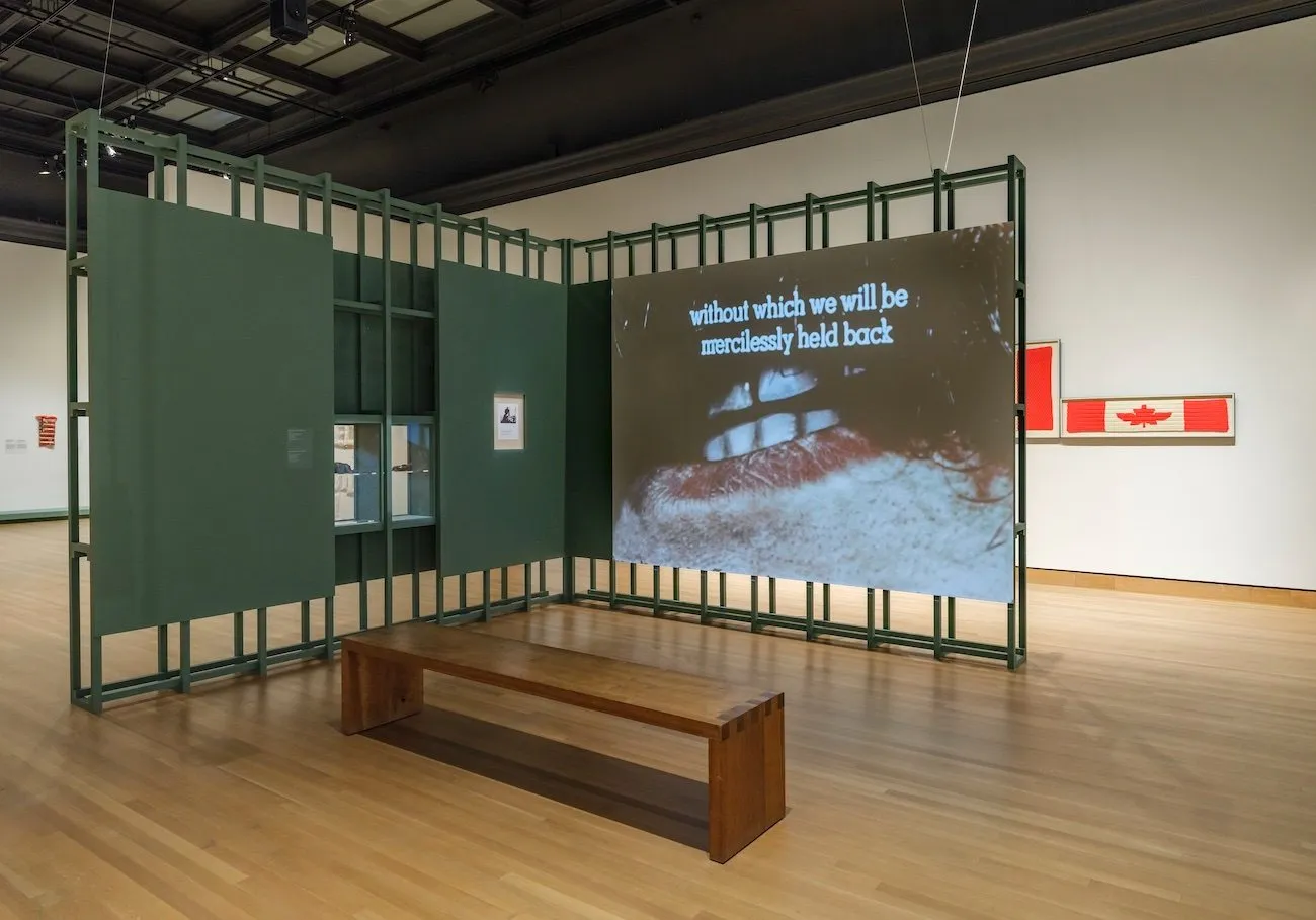 Exhibition view of canadian artist joyce wieland heart on retrospective at the national gallery of canada, mmfa.