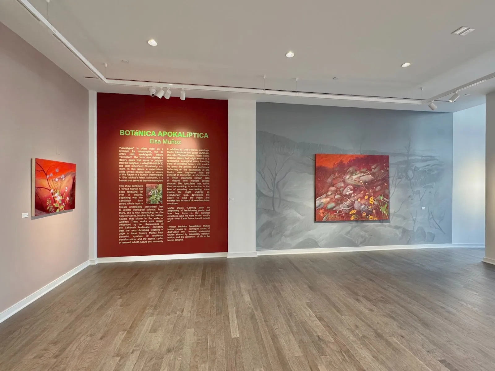 Shot of a room with beige,, red, and printed walls and a brownish hardwood floor. A painting hands on the right wall, and the frontal red wall features exhibition text. The printed grey landscape wall features a red painting.